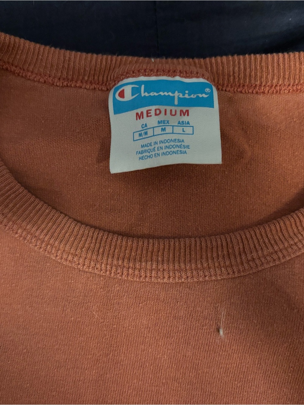 Champion Men's Rust Red Classic Logo Tee - Picture 3 of 4